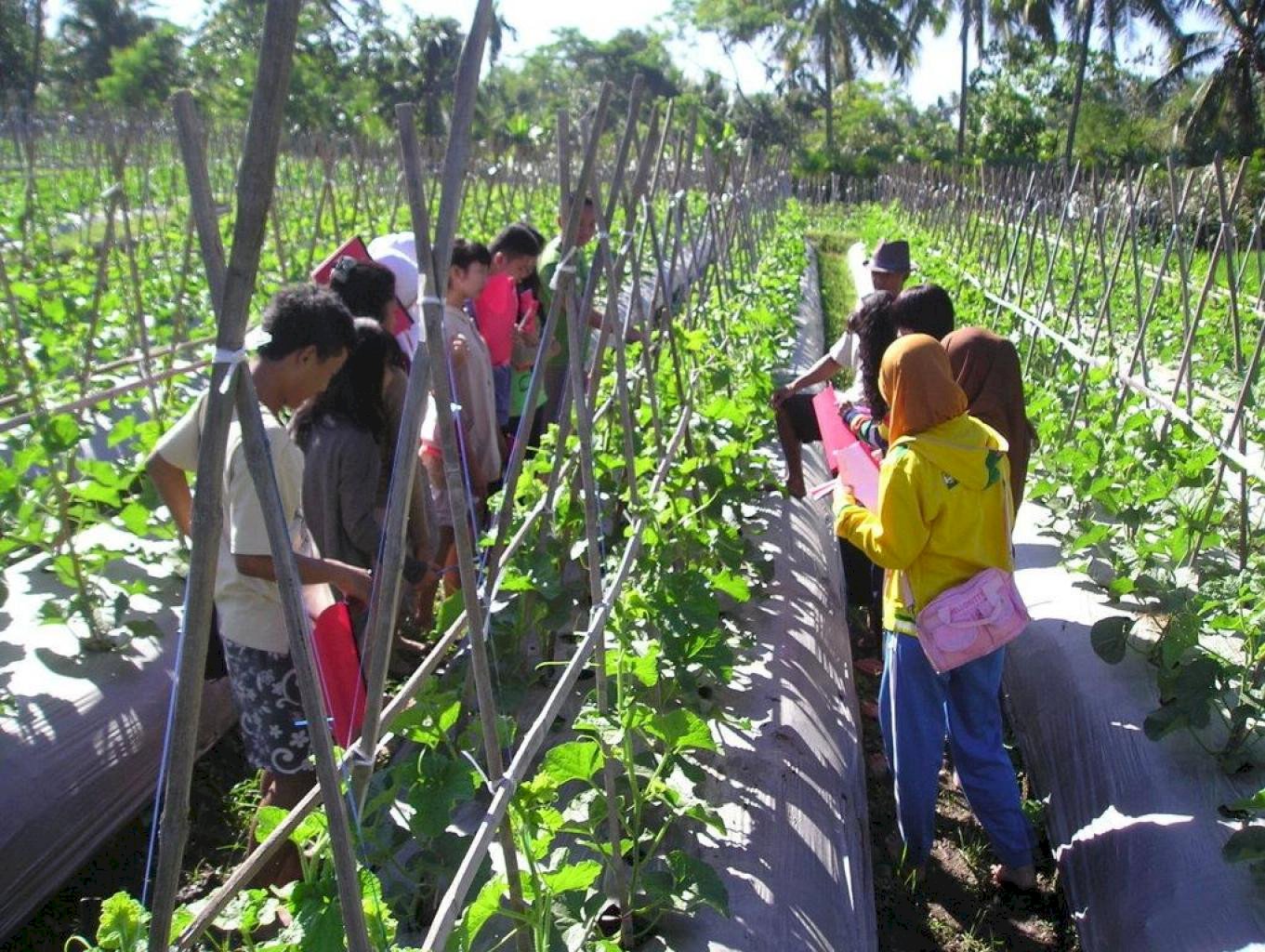Desa Wisata Gabugan: Menikmati Keindahan Perkebunan Salak Pondoh dan Perikanan di Sleman, Yogyakarta, dijogja.co. Desa Wisata Gabugan: Menikmati Keindahan Perkebunan Salak Pondoh dan Perikanan di Sleman, Yogyakarta.
