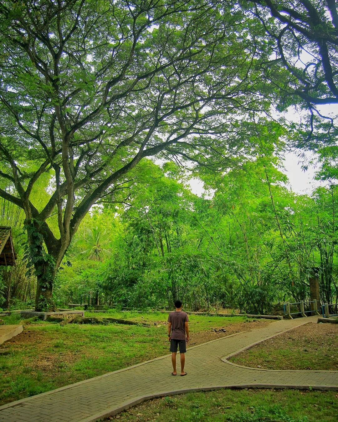 Goa Selarong, Bantul : Info Harga Tiket Masuk, Lokasi, Rute, Jam Buka, Fasilitas, & Spot Foto Terbaru. Goa Selarong Yogyakarta, Wisata Bersejarah dengan Pemandangan Alam yang Indah.
