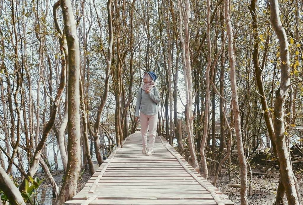 Hutan Mangrove Wana Tirta: Keindahan Alam Pesisir yang Mempesona, dijogja.co Hutan Mangrove Wana Tirta: Keindahan Alam Pesisir yang Mempesona, dijogja.co. Hutan Mangrove Wana Tirta: Keindahan Alam Pesisir yang Mempesona.