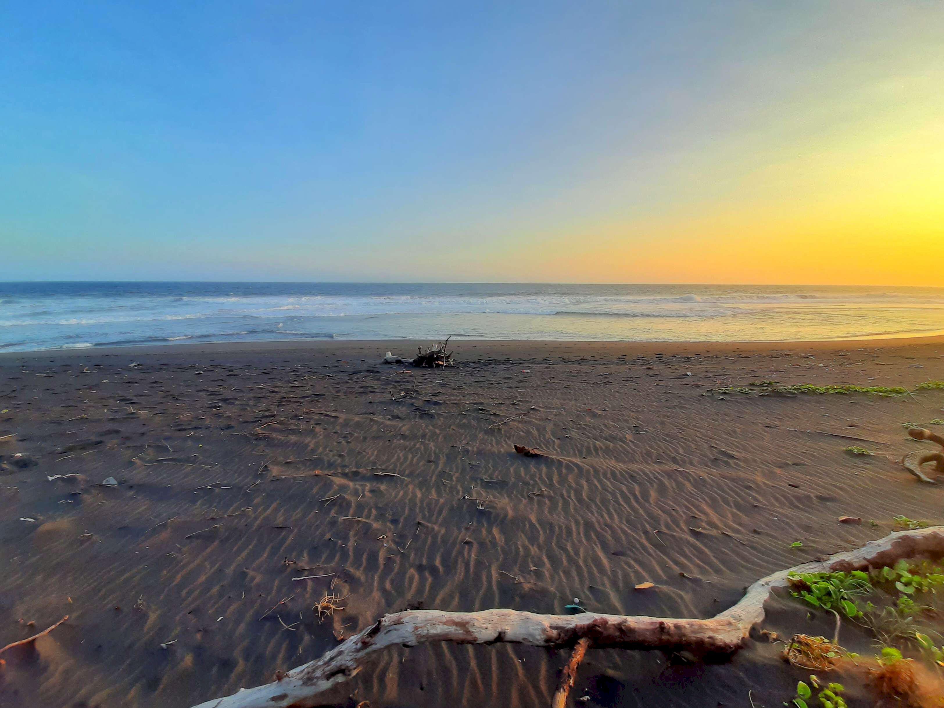 Pantai Mlarangan Asri di Kulon Progo: Alternatif Wisata Sejuk yang Tersembunyi, dijogja.co. Pantai Mlarangan Asri di Kulon Progo: Alternatif Wisata Sejuk yang Tersembunyi.